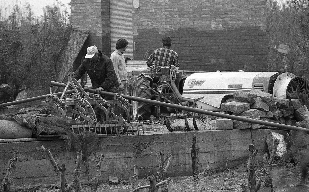 ahlleida's tweet photo. #fa39anys #riuada1982 una de les més importants del s. XX, tot i que la de 1907 probablement va tenir efectes encara més devastadors.
#LaGranjadEscarp va ser un dels pobles més afectats en els dos casos per ser allà on Segre i Cinca s'ajunten
📸 #elSegre
 #xac 
@patrimonigencat https://t.co/TxU77bPQTG