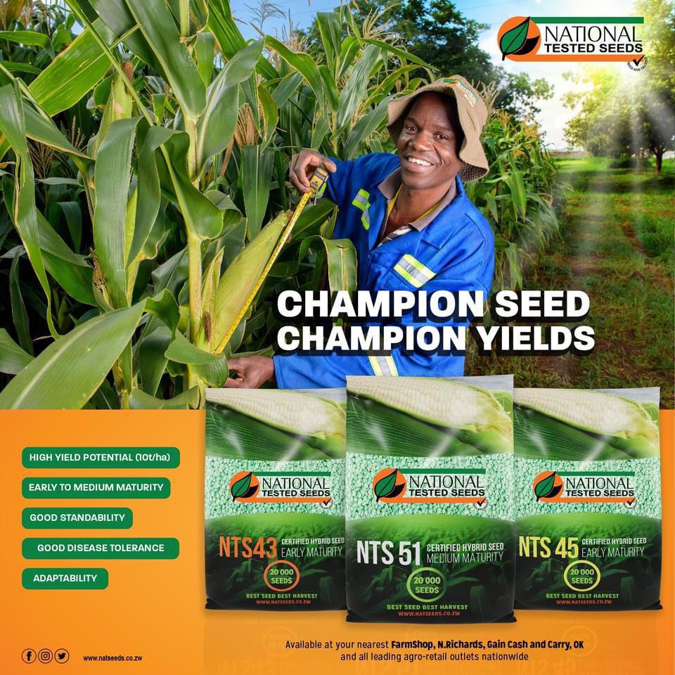 Mbeu kai maTwitterians