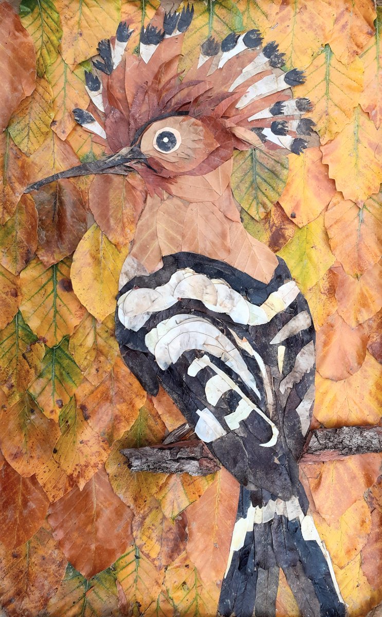 DianaCotter5's tweet photo. Here's today's Compostable Autumn Art - a Hoopoe, made entirely from fallen leaves, seedheads and twigs!😃🍂🍁🍂 #TwitterNatureCommunity https://t.co/dscpgJm9Fe