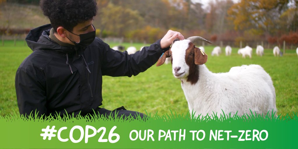 dundee_angus's tweet photo. We’ve reduced our carbon emissions by a whopping 60% since 2010. And we’re hunting down #NetZero. We’re up for the fight, are you? 

#Cop26 #ClimateAction #ChooseCollege #CollegesClimateChange https://t.co/2XZ2RrgYA6