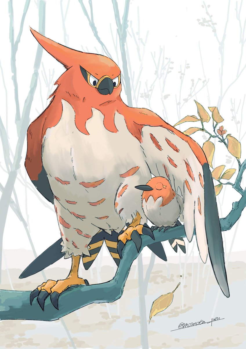 pokemon (creature) no humans bird talons branch standing animal focus  illustration images