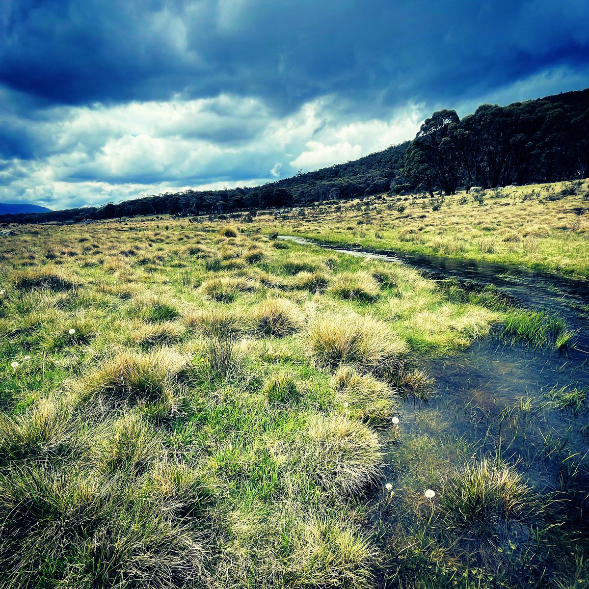 SnowyRiverHut's tweet photo. Another river somewhere… #NamadgiNationalPark #alpinehuts #bushwalk #canberra #act #hiking #australia https://t.co/xgBUSRSI3O
