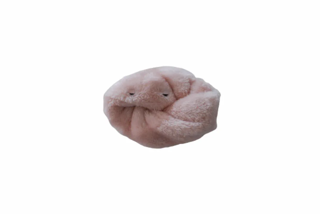 FDqqfpMaMAAdMVt?format=webp&
