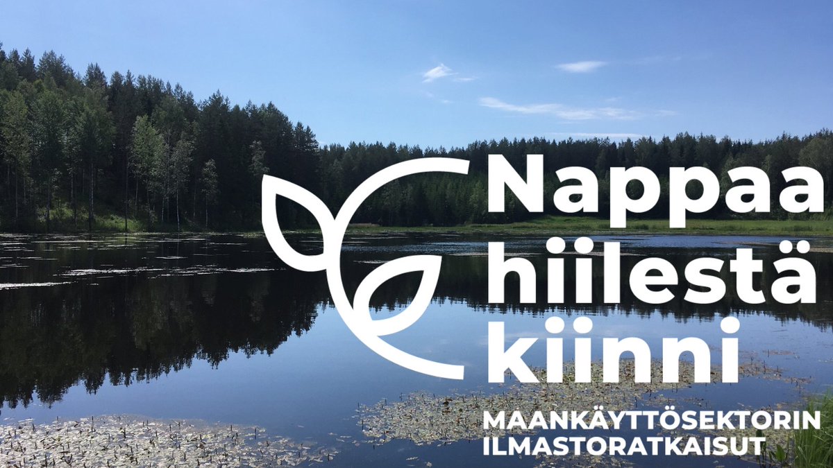 Kuva kosteikosta poutaisena päivänä ja päällä valkoinen Nappaa hiilestä kiinni - maankäyttösektorin ilmastoratkaisut -logo.