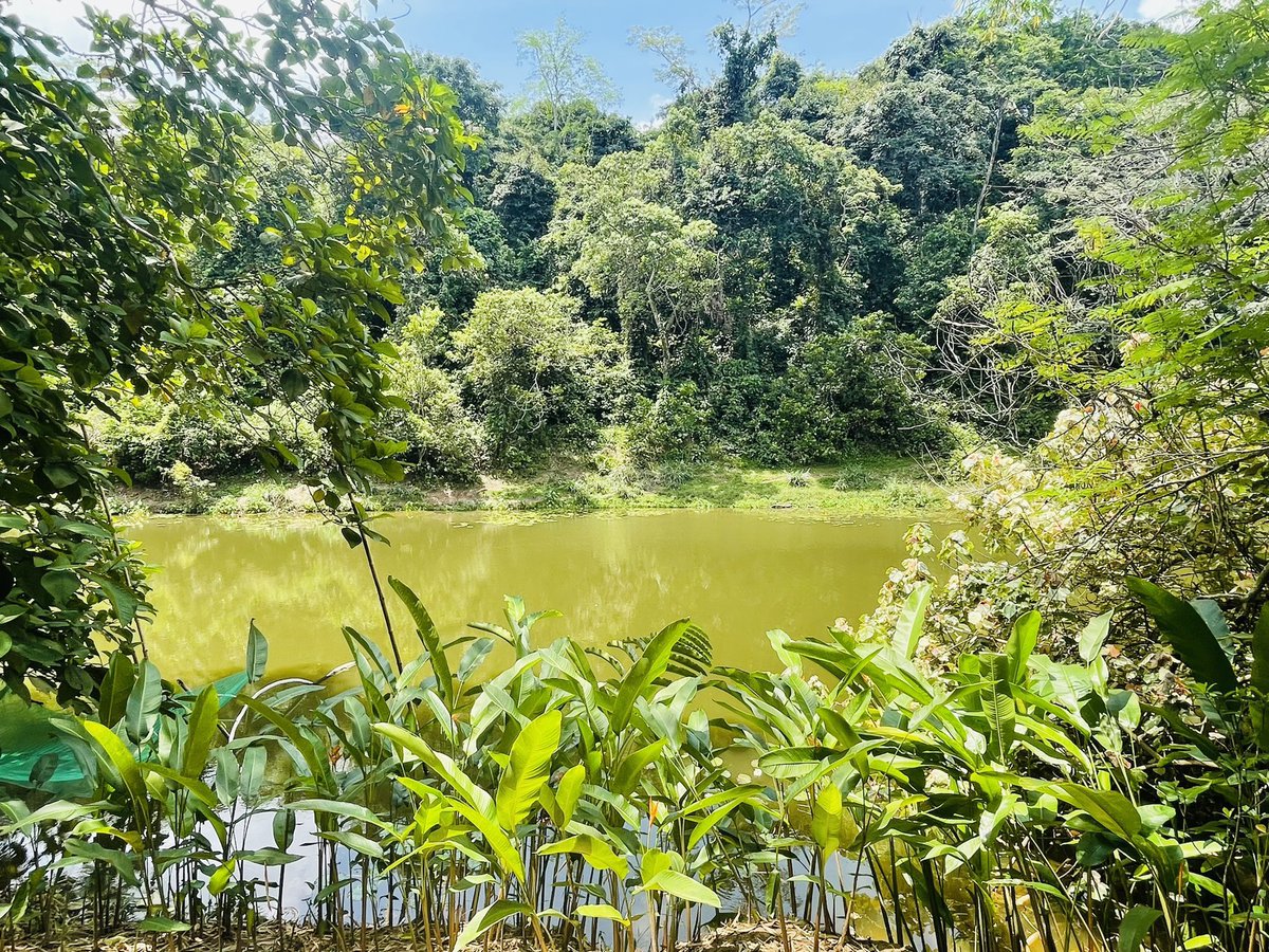 visitdrc's tweet photo. #VisitDRC today 
Explore the DRC 
#Congo https://t.co/Fi7F3sAdQu