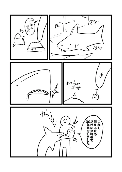 サメを飼う 