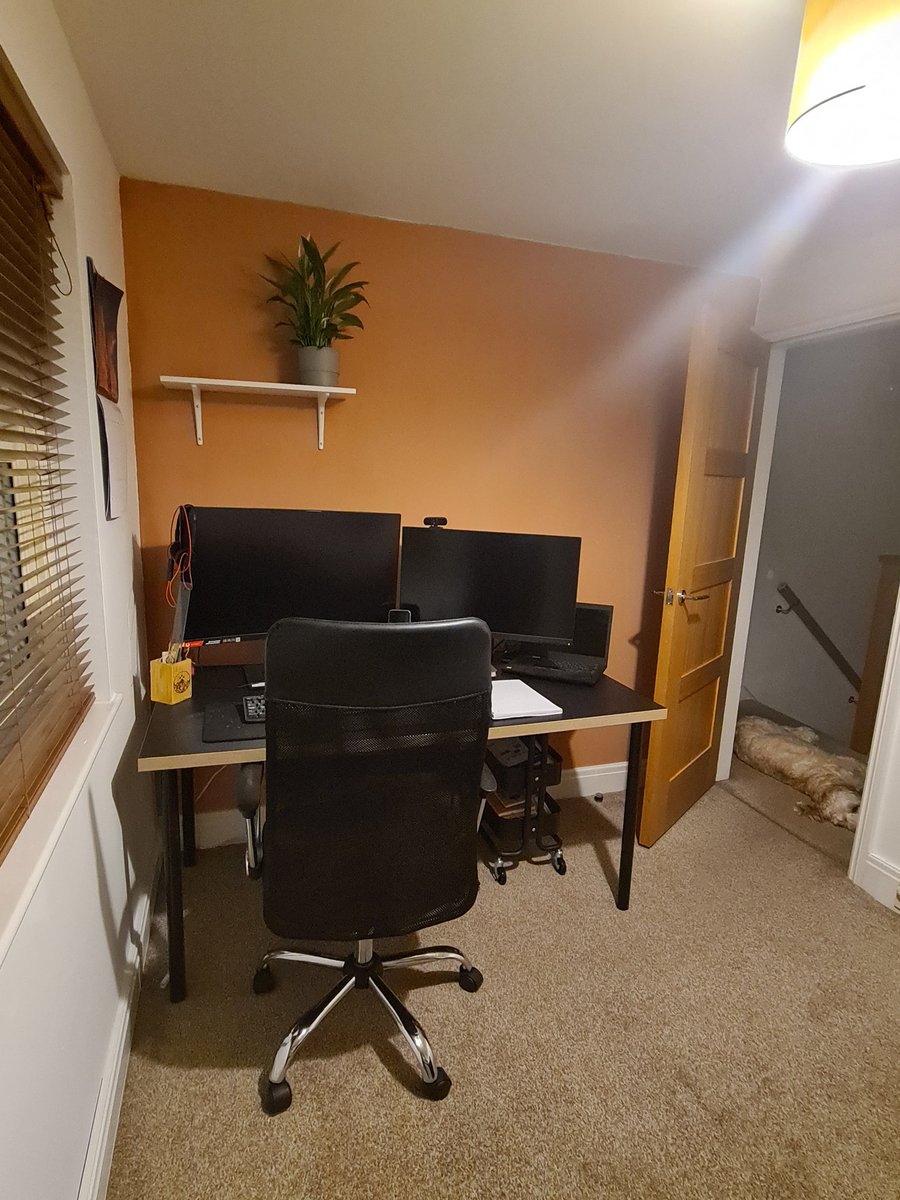 ashheartsbooks's tweet photo. The Reading room is complete! A few more finishing touches that will be done over time but I'm soo happy with it! A big thanks to my amazing fiance for doing this for me 

#readingroom #readersofinstagram #bookblogger https://t.co/Jipfd6xkPj