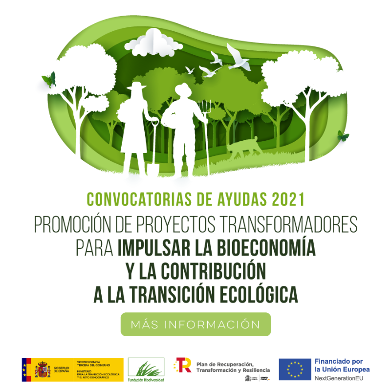 FBiodiversidad's tweet photo. 💵 20 M€ (ayudas de entre 250.000 € y 2 M€) para proyectos transformadores que impulsen la bioeconomía y la transición ecológica, y que contribuyan a revertir la pérdida de #biodiversidad y mitigación del #CambioClimático.

⏳ Hasta el 3 de enero de 2022.

#PlandeRecuperacion