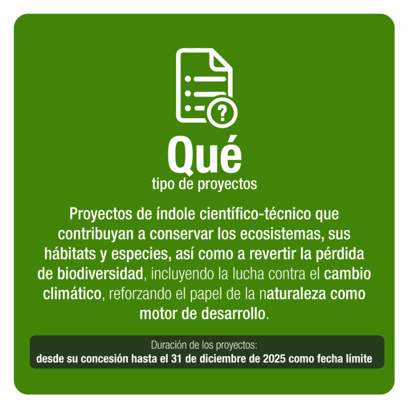 FBiodiversidad's tweet photo. 💵 20 M€ (ayudas de entre 250.000 € y 2 M€) para proyectos transformadores que impulsen la bioeconomía y la transición ecológica, y que contribuyan a revertir la pérdida de #biodiversidad y mitigación del #CambioClimático.

⏳ Hasta el 3 de enero de 2022.

#PlandeRecuperacion