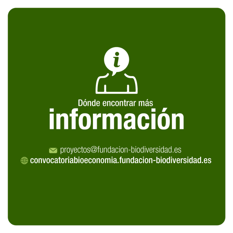 FBiodiversidad's tweet photo. 💵 20 M€ (ayudas de entre 250.000 € y 2 M€) para proyectos transformadores que impulsen la bioeconomía y la transición ecológica, y que contribuyan a revertir la pérdida de #biodiversidad y mitigación del #CambioClimático.

⏳ Hasta el 3 de enero de 2022.

#PlandeRecuperacion