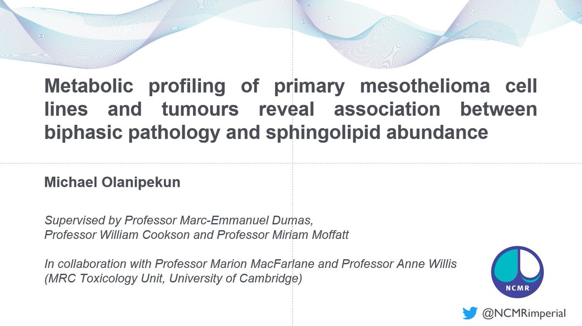 A little throwback to last week's #MRNRD21 where our PhD student Michael Olanipekun presented his work on #mesothelioma. Thanks for a fab day! @BlfResearch <a href="/lunguk/">British Lung Foundation</a>