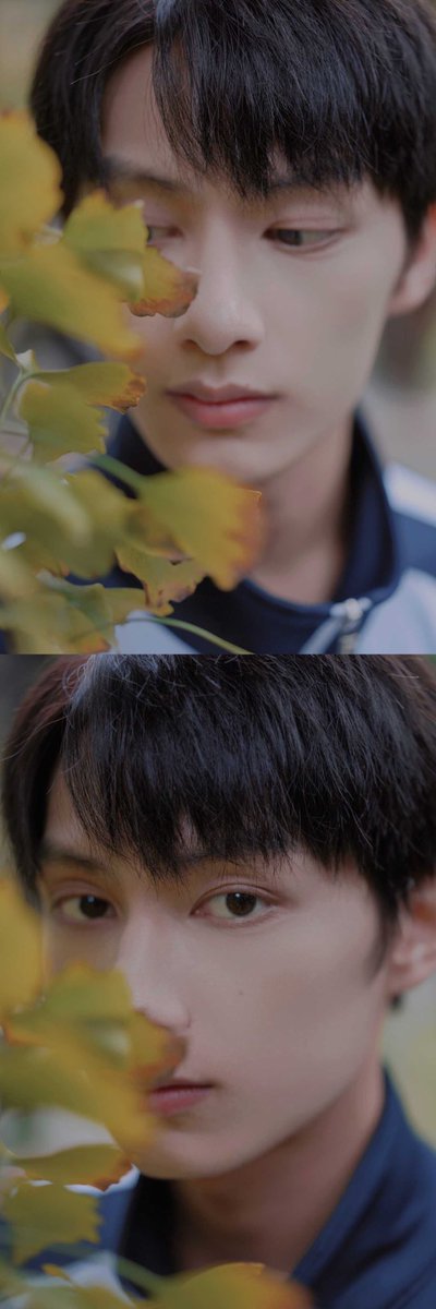 JUNZHUI's tweet photo. Autumn leaves are falling already without me noticing as each day goes by. Time to enjoy the season with warmth before the winter song rings by the doorbell then. https://t.co/9aGB1SLAkJ