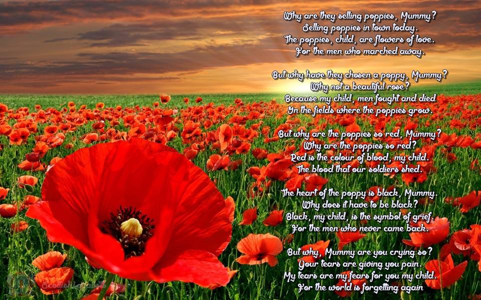 Bridge2017Jobs's tweet photo. Found this and thought it was too good not to share.
#remembrance2021 https://t.co/xvtrPTjZ76