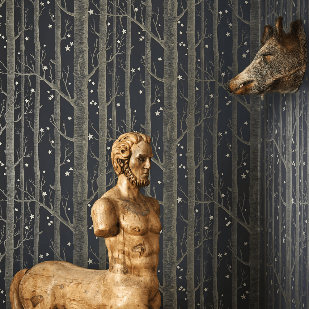 WallpaperPlace's tweet photo. Woods &amp; Stars #wallpaper from the Whimsical collection by #ColeandSon. A nostalgic &amp; enchanting selection of magical wallpapers, inspired by the classic childhood stories &amp; fairy tales of our youth.

Shop the collection online: https://t.co/DJhtbN6Zfg.

#designerwallpaper #decor https://t.co/tjD4yrLeHP