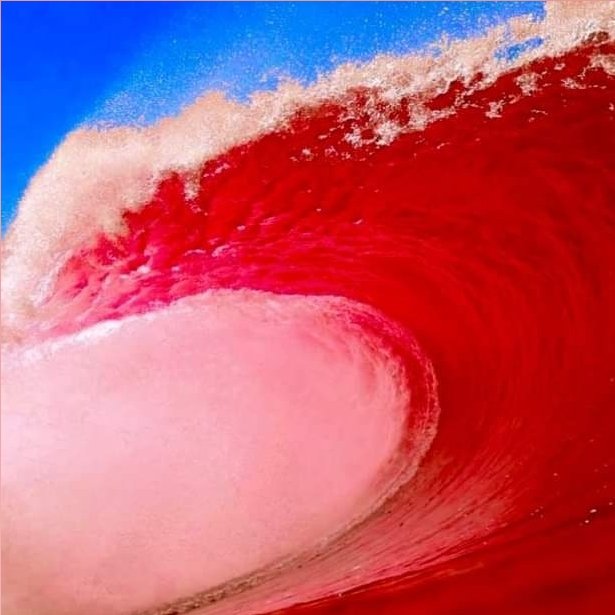 GOPSaugerties's tweet image. Had a little red wave of our own on the #Saugerties Town Board
#ulstercounty #2022 #startlocal