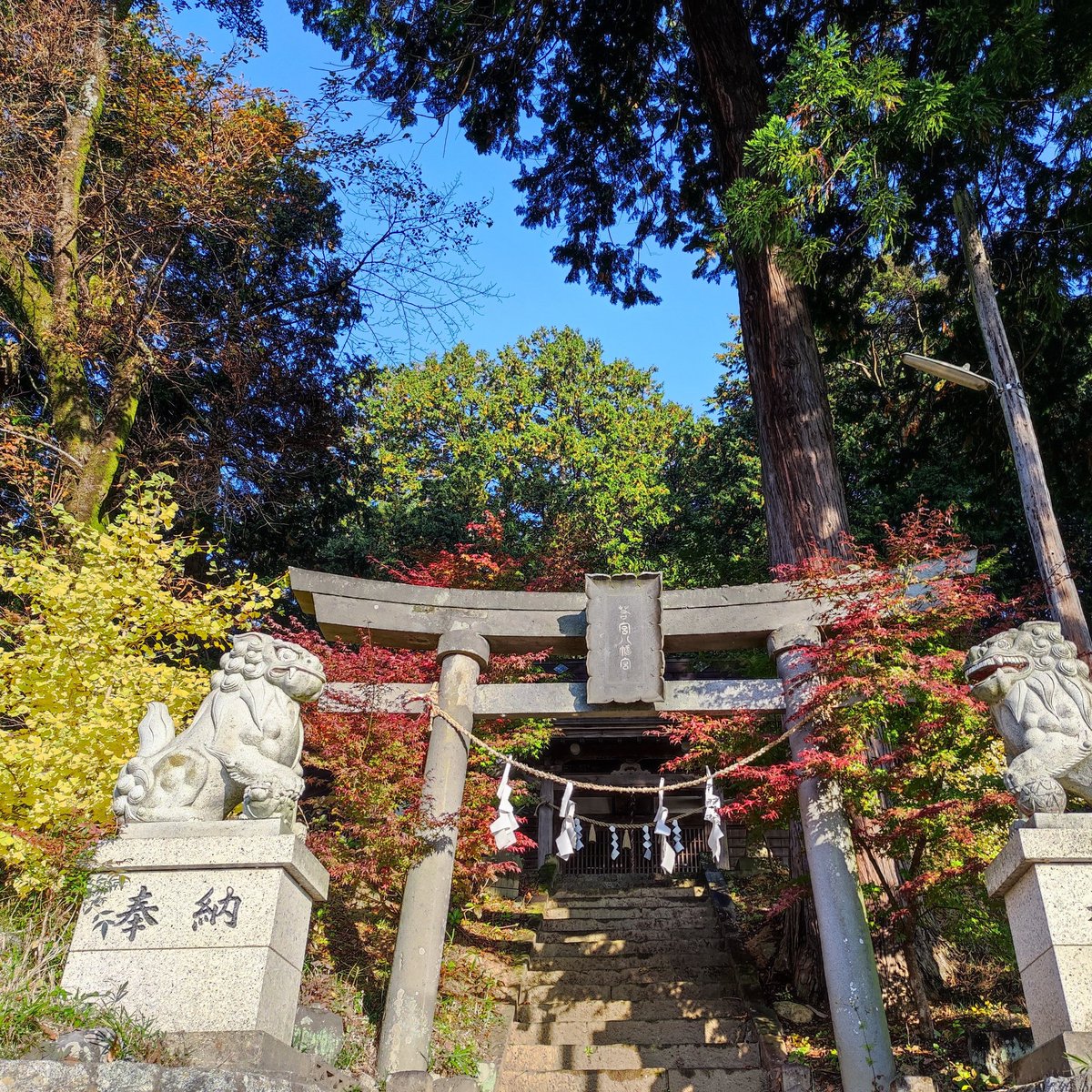azuminow's tweet photo. #道の駅 #はくしゅう の隣りにある #若宮神社 にもお参りしてきた。 #ドライブ https://t.co/WYI3qUqrJw