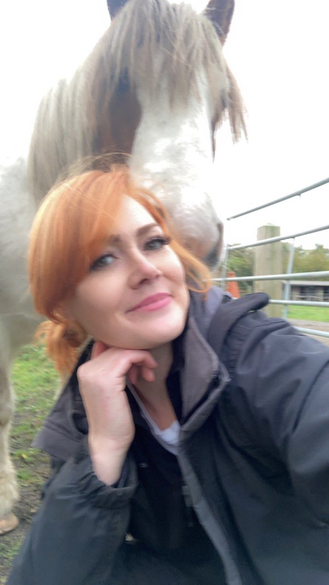 PressFresh's tweet image. 