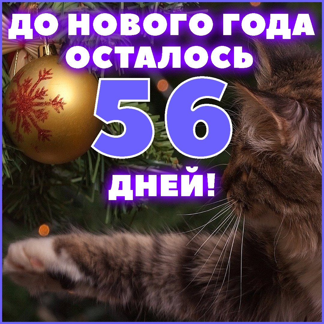 HighNtis's tweet photo. До Нового Года 2022 осталось 56 дней!
А Вы ждёте Новый Год 2022? Год Тигра 2022!
#новыйгод #новыйгод2022 #новыйгод2022🌲🎅 #новыйгод2022🎄 #newyear #newyear2022 #happynewyear #happynewyear2022 #доновогогодаосталось #годтигра #годтигра2022 #тигр2022 #year2022 #tiger2022 https://t.co/NXBuekPh0G