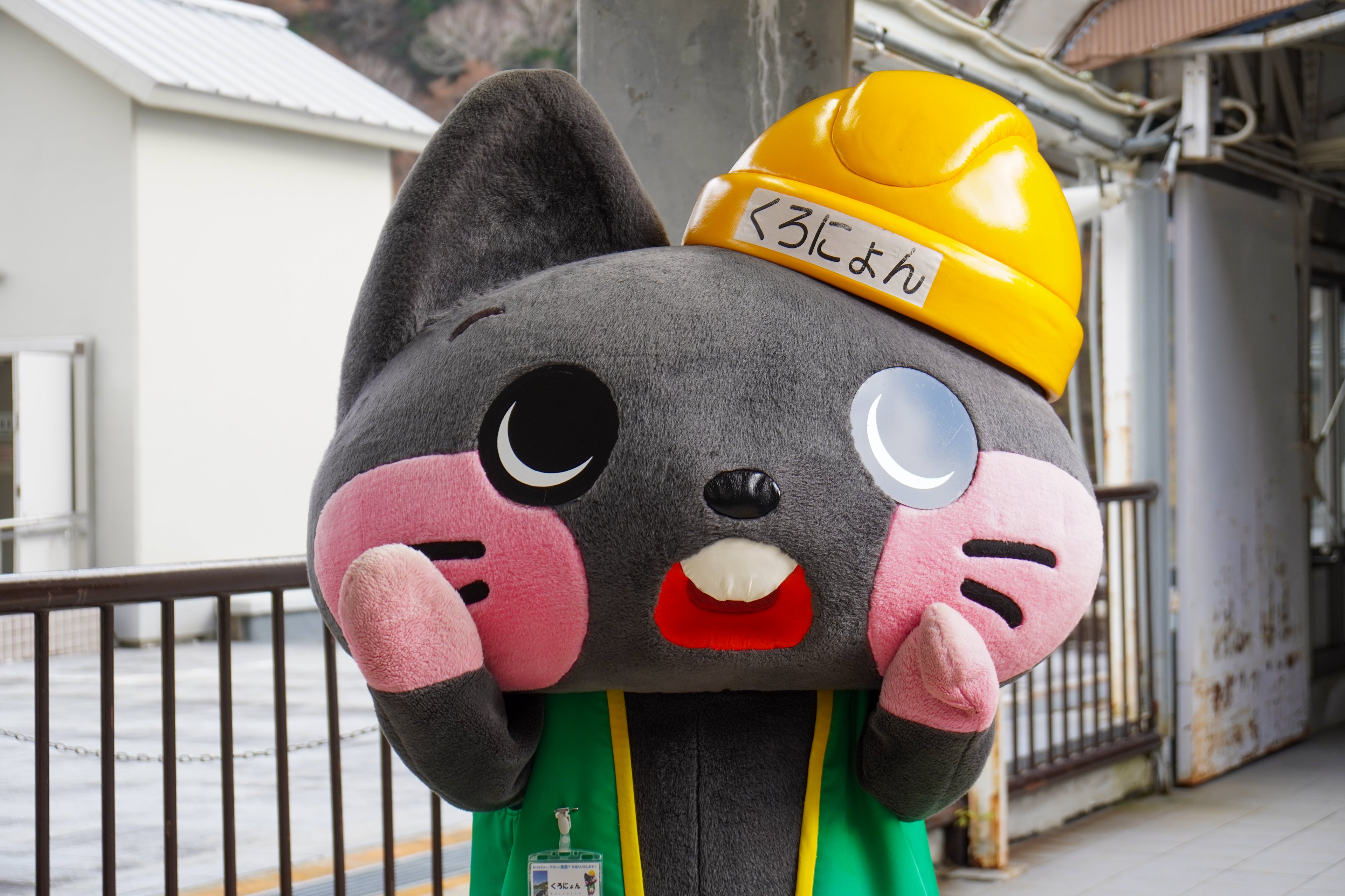 覚悟のある方のみ購入して下さい。　重さが変わる石　 呪物　曰く付き 覚悟のある方のみ購入して下さい。 重さが変わる石 呪物 曰く付き