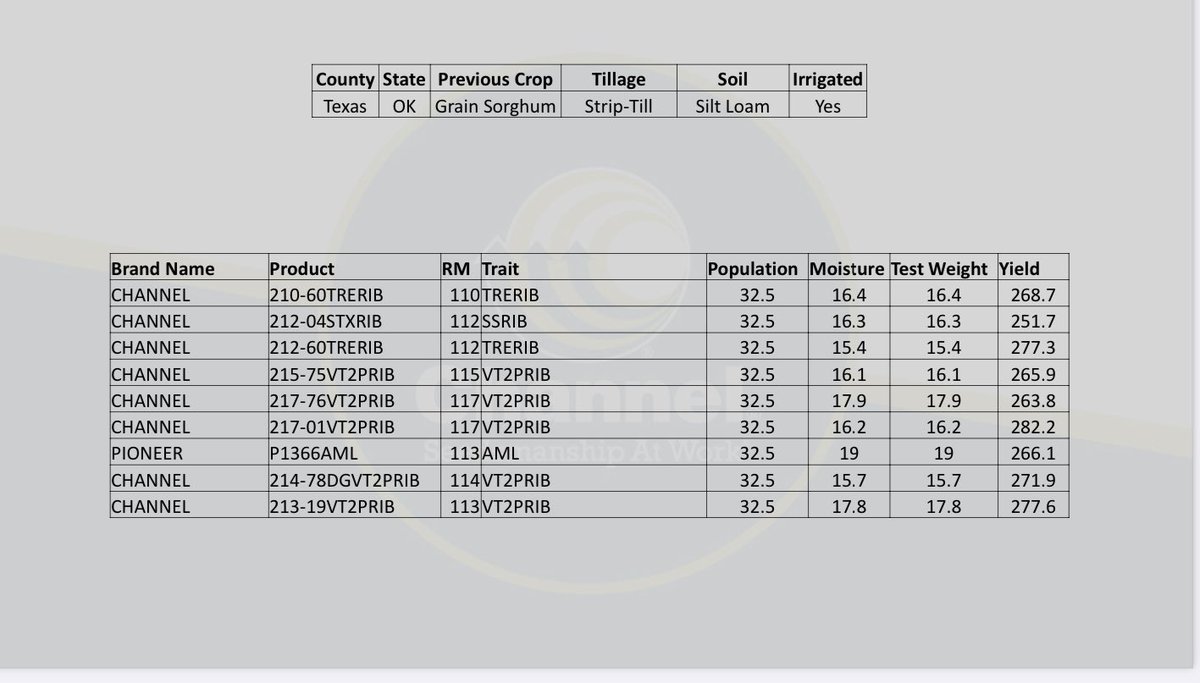 BBSeedllc's tweet photo. Experience the advances of the most innovative breeding program in the industry! Channel Seed / Bayer. #placedtoperform #TexasTrue #SouthwestSound https://t.co/LnHeiB4qyy