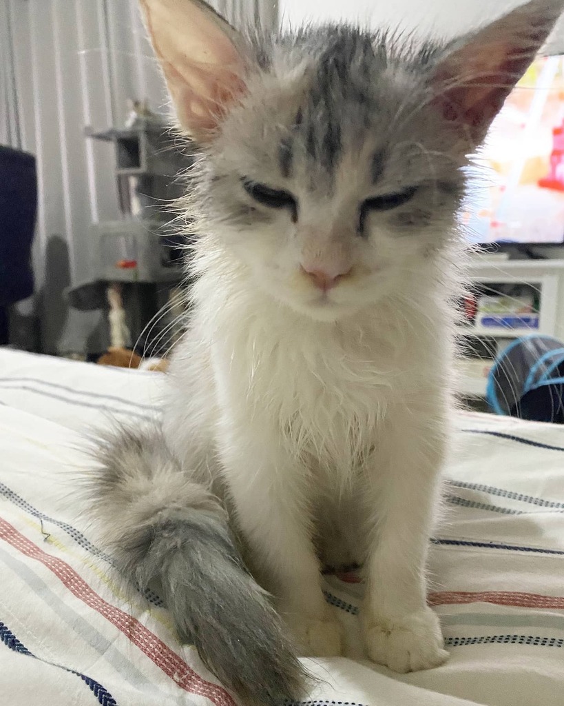 PennyPatchi's tweet photo. Is it Monday again? Let me go to sleep 😴 
#skipmonday
 https://t.co/XfCp9uFTc9 https://t.co/Y7FpJ0KhWj