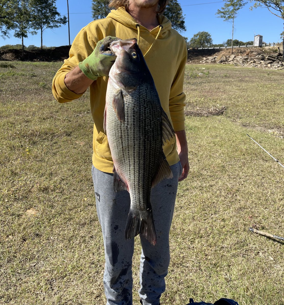At 33.5 inches and 16.5 inches in girth, this Hybrid will go down as my forever PB! I don’t think I’ll ever get a chance to catch a hybrid this sized again.😳 #fishing #fishinglife #Carp #bassfishing #bigfish #viral #BigBird #Crane #Jumbo #outhouseproductions