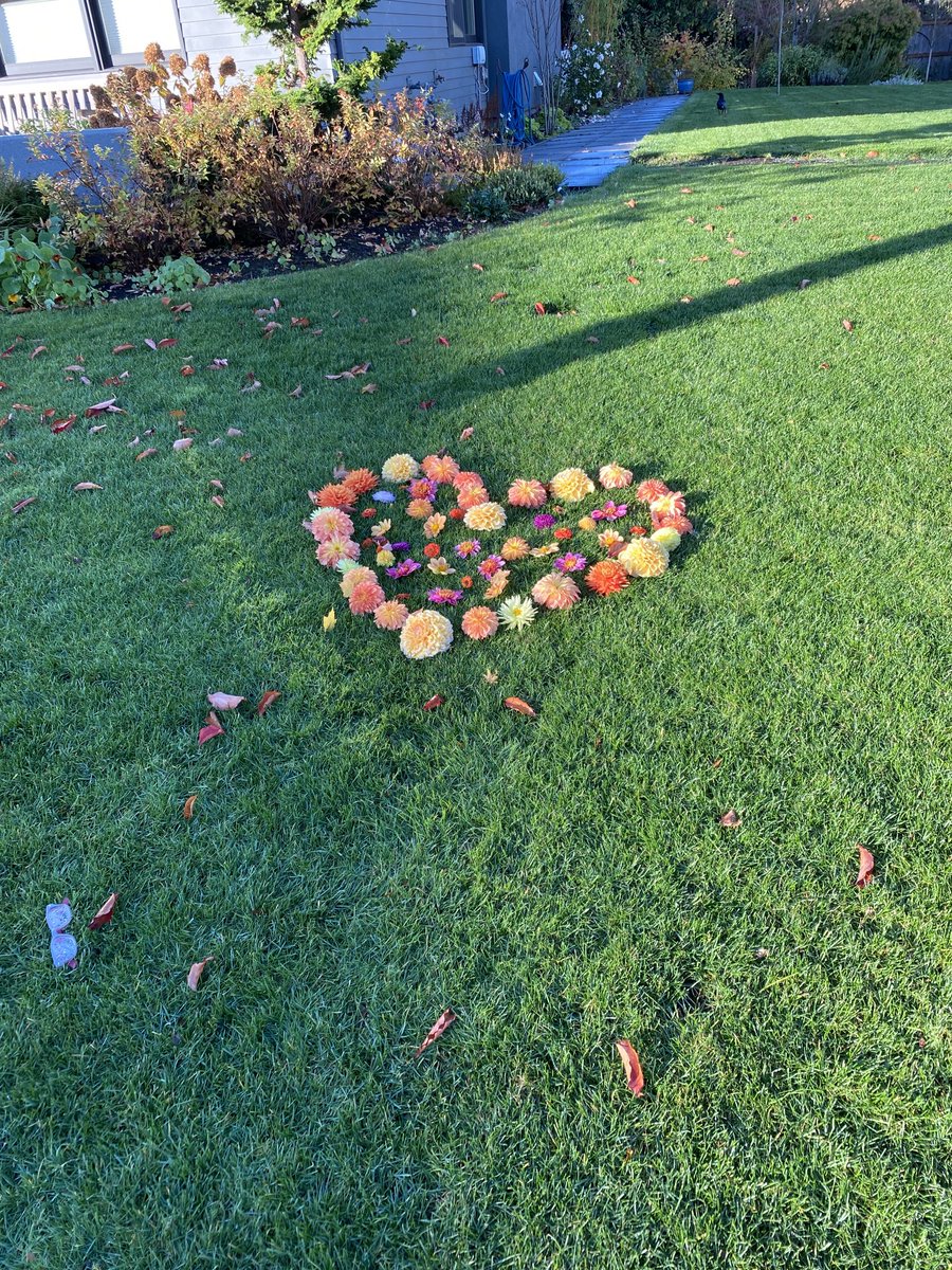 Today in Portland (@todayinportland) on Twitter photo 