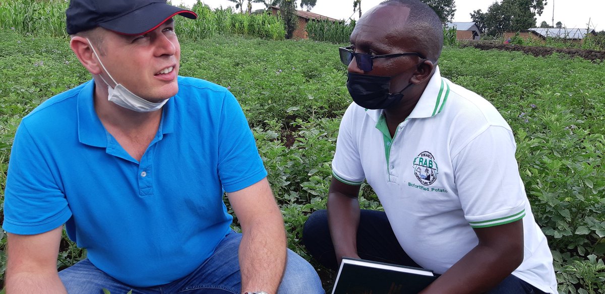 Farmers' Potato Academy (FPA) in Rwanda tweet media