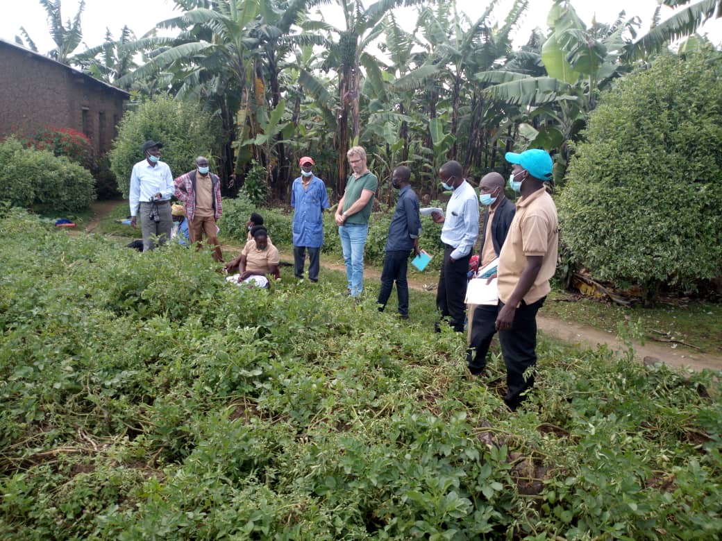Nice start of the week within <a href="/PotatoFpa/">Farmers' Potato Academy (FPA) in Rwanda</a> together with @laetitiasander ( Dutch seed potato grower, member of <a href="/HZPC/">HZPC Potatoes</a>  &amp; <a href="/LTONederland/">LTO Nederland</a>), <a href="/GeDuHo/">Geduho</a> ( ware potato grower &amp; member of #Nedatocoop . Always nice to learn from a peer ! Thanks <a href="/Agriterra/">Agriterra</a> <a href="/RwandaAgriBoard/">Rwanda Agriculture & Animal Resources Devpt Board</a> <a href="/Agripool_advice/">Agriterra Agripool</a>