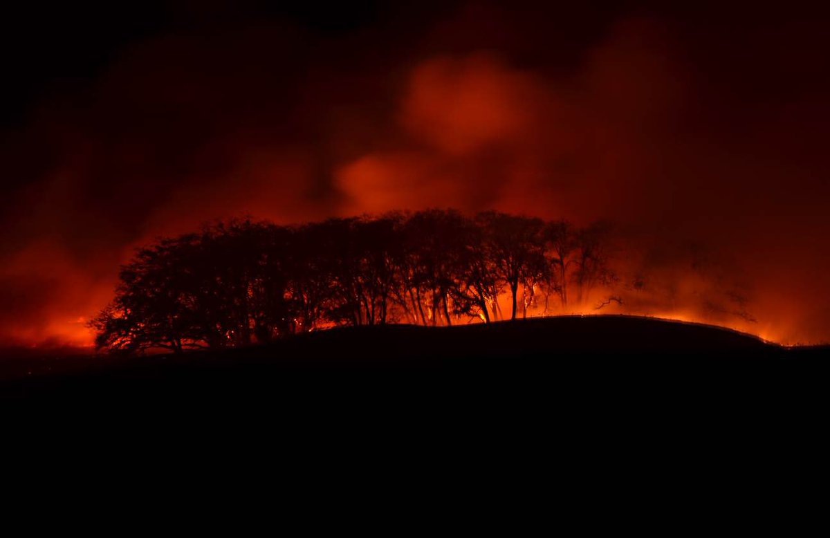 Position still open. Application reviews will begin next week. Fire and Fuels Management Post-doc position at Humboldt State University.  50% teaching, 50% research. See details here: firelab.humboldt.edu/current-opport…   Contact Jeff Kane for more info: jkane@humboldt.edu