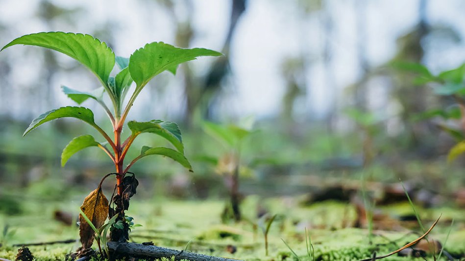 Glassboxx tweet media