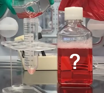 BioSpherix's tweet photo. Why keep incubator CO2 at 5%? How does cell handling temperature affect acidity? 

Answers to these questions, and more, can be found on the Cytocentric Blog: https://t.co/UbTHNyZdcj

#Cellculture #InVitroReproducibility #Bioengineering #Biochemistry https://t.co/3t5U1GuNnj