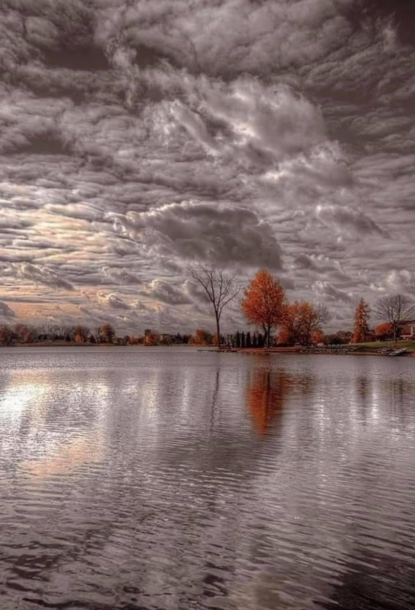 Margie Shafer (@margieshafer) on Twitter photo 