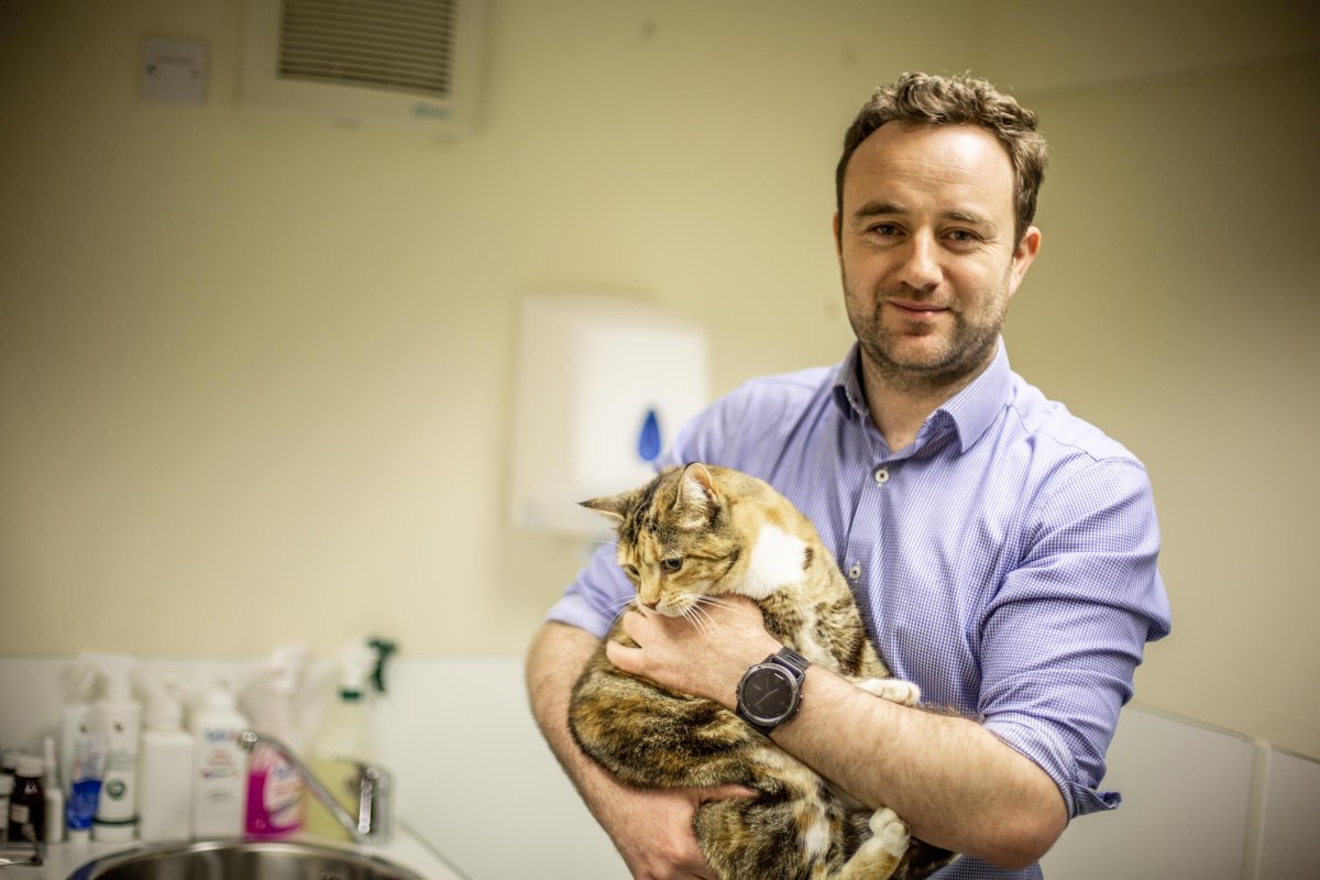 hantschronicle's tweet image. Liberal Democrats appoint Winchester vet as parliamentary candidate bit.ly/3bUPKEJ