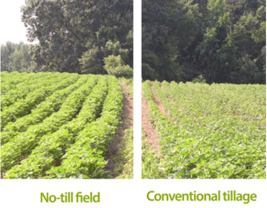 USDA_NRCS's tweet photo. Save time. Save money. Grow more. https://t.co/J59RbSl5Qr #NoTillNovember https://t.co/1ZuzRzNDou