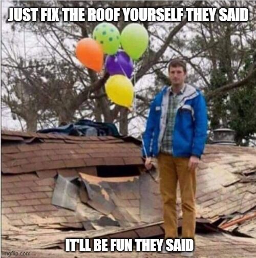 There are some things you can DIY... 

Your roof isn't one of them.