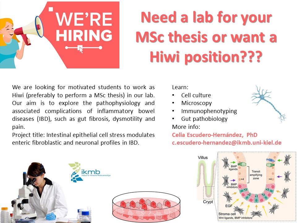 Students needed for my project!!! :D
#organoid  #neurons  #fibroblasts #organonachip #confocal #microscopy 
@kieluni @SystemsImmunol1