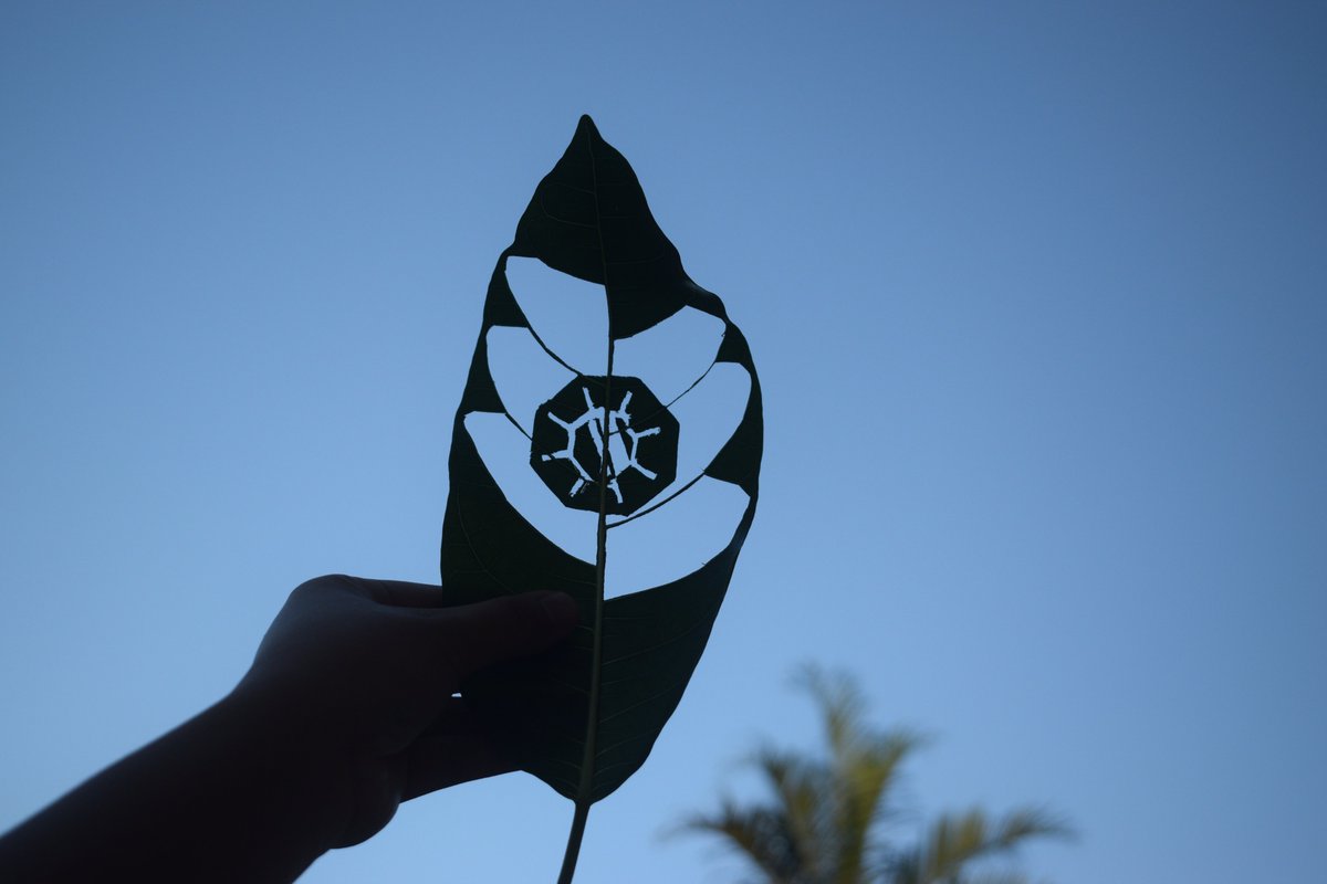 heizengerb's tweet photo. Got myself a $JEWEL from Nature <3
#DFKArtIRL
#DFKForever
@DefiKingdoms https://t.co/dxEv1LGEJ4