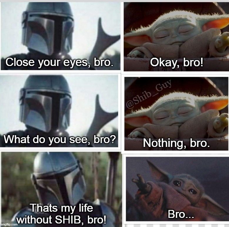 SHIB GUY tweet media