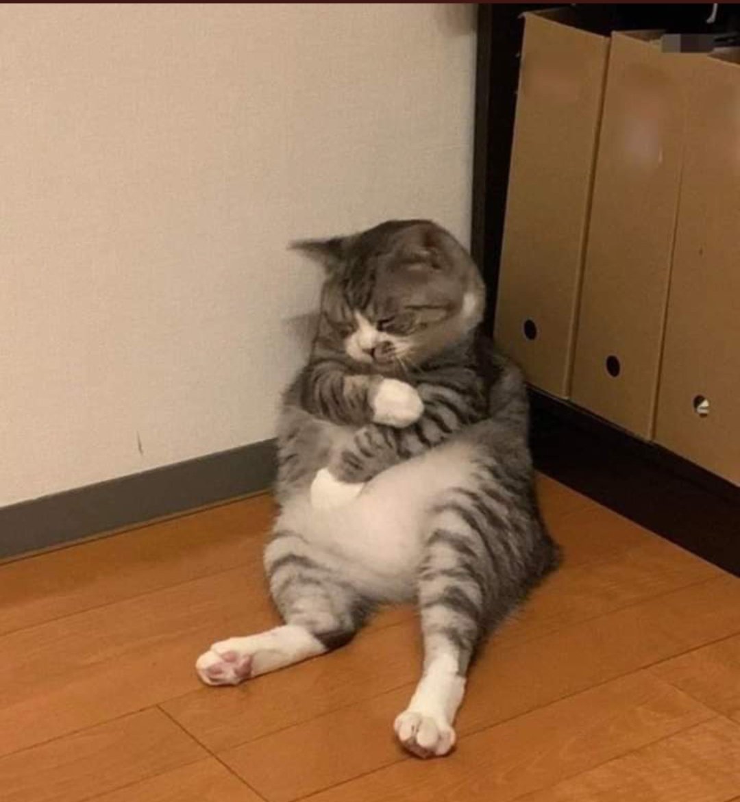 hoy estoy un poco así: