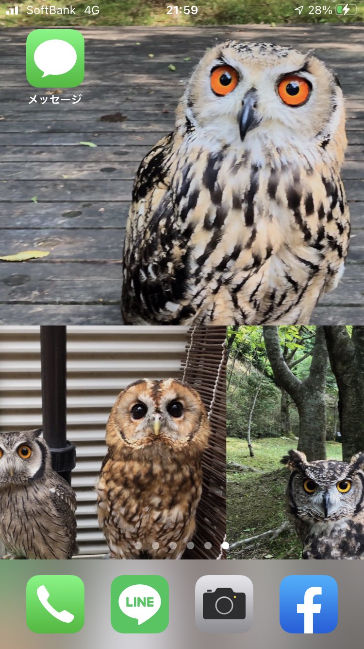 携帯待受 Twitter Search Twitter