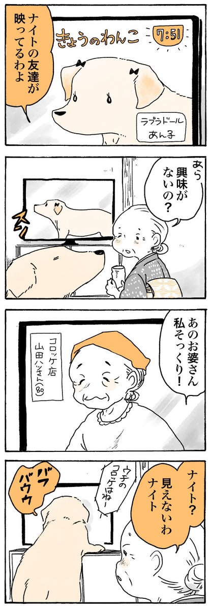 ちなみにナイトはゴールデンです🐕

#姫ばあちゃんとナイト
(単行本発売中!) 