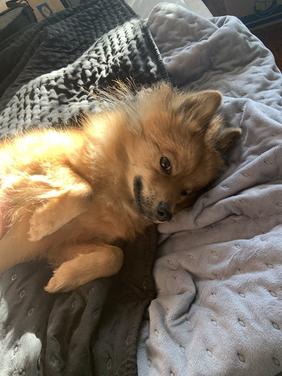 AD_Strider's tweet image. “Do you wish me a good morning, or mean that it is a good morning whether I want it or not; or that you feel good this morning; or that it is a morning to be good on?”