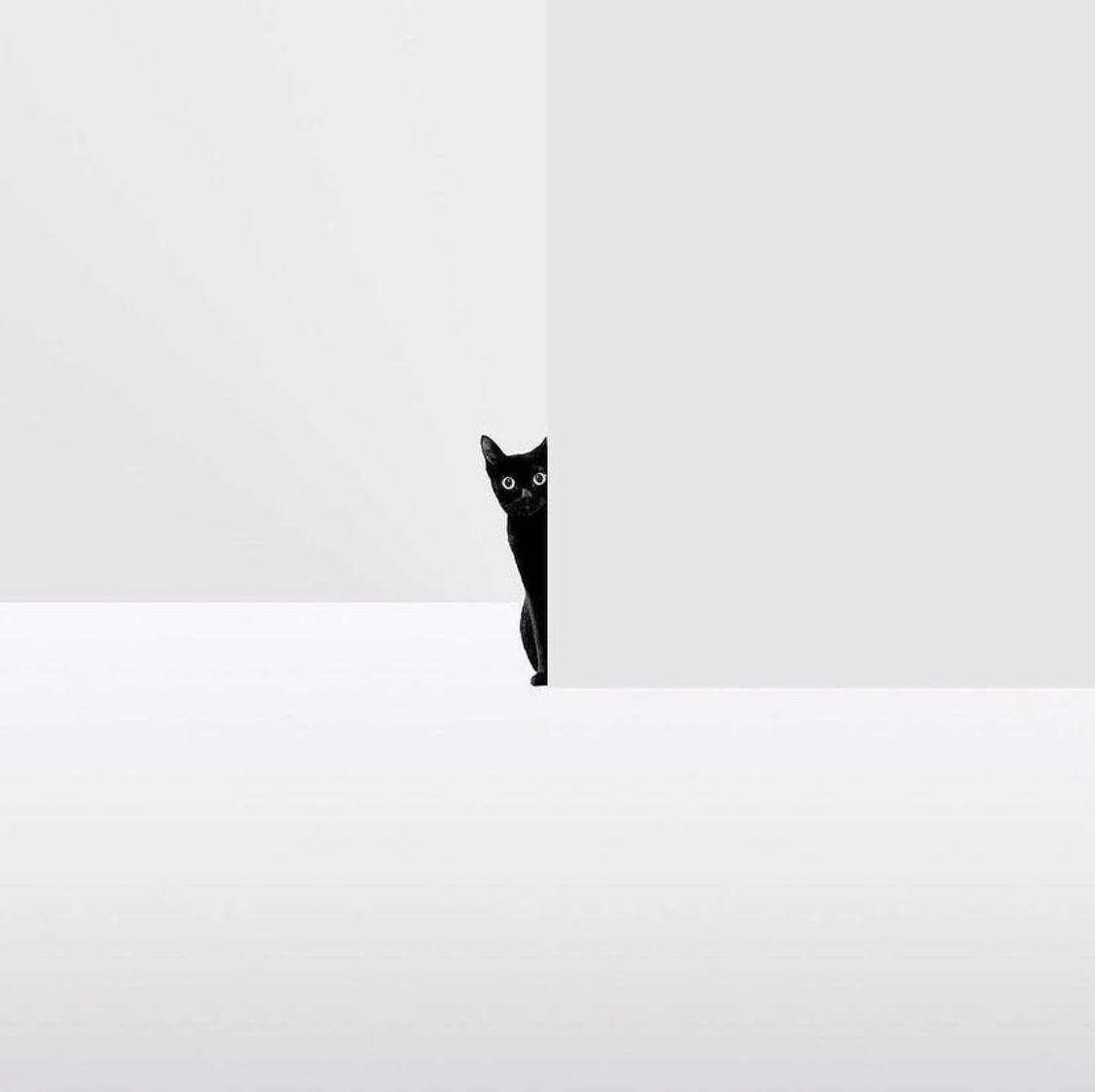 NABIL SAMMER tweet media