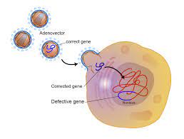 harmonized_in's tweet image. #Genetherapy is a medical field which focuses on the genetic modification of cells to produce a therapeutic effect or the treatment of disease by repairing or reconstructing defective genetic material.