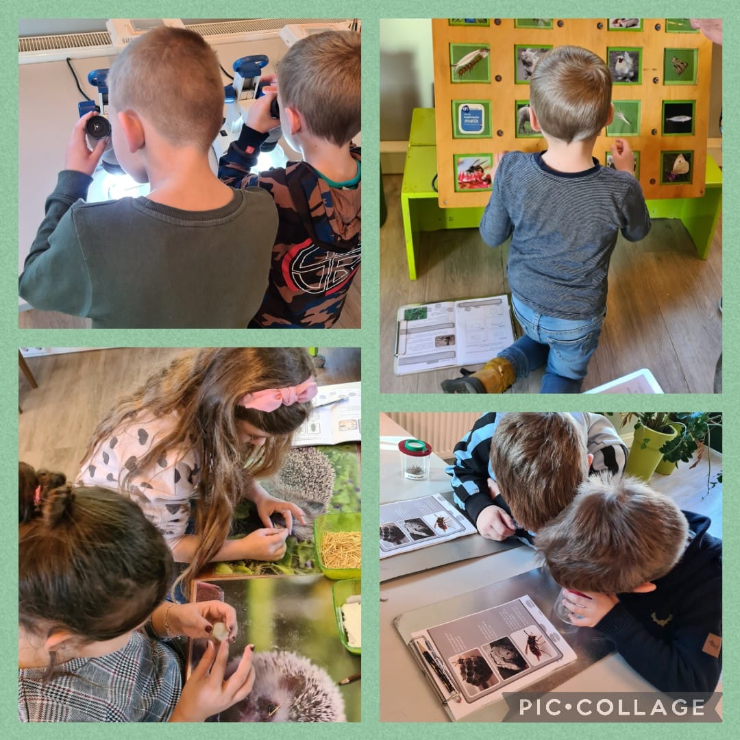 De Teugelaar (@deteugelaar) on Twitter photo Afgelopen vrijdag mocht gr. 3 kinderboerderij Elzenhoek bezoeken. We hebben geleerd over wespensoorte, we mochten een egeltje kleien 🦔, er was een letterspeurtocht, we mochten een cavia en konijn🐰 vastenhouden en er waren nog allerlei leuke spelletjes. <a href="/DeTeugelaar/">De Teugelaar</a> @SAAMscholen Afgelopen vrijdag mocht gr. 3 kinderboerderij Elzenhoek bezoeken. We hebben geleerd over wespensoorte, we mochten een egeltje kleien 🦔, er was een letterspeurtocht, we mochten een cavia en konijn🐰 vastenhouden en er waren nog allerlei leuke spelletjes. <a href="/DeTeugelaar/">De Teugelaar</a> @SAAMscholen