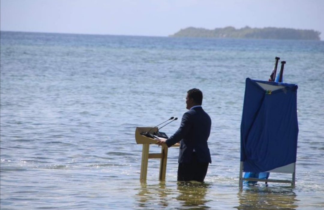 LiberalismoAmbiental tweet media