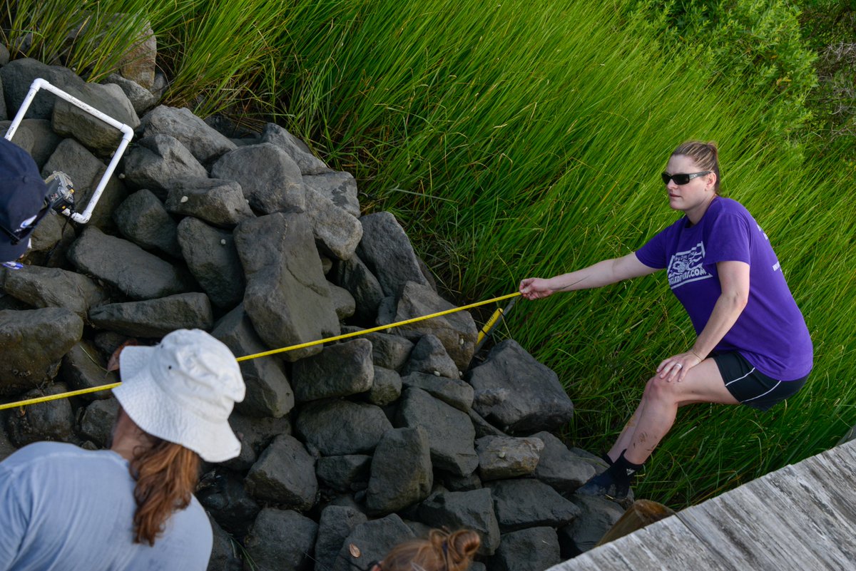 #FELLOWSHIP OPPORTUNITY!
Registrations for the 2022 Graduate Research Fellowship are due this Wednesday, Nov. 10! The fellowship supports graduate students in Virginia addressing coastal and marine issues. Full details here: bit.ly/39edaU0