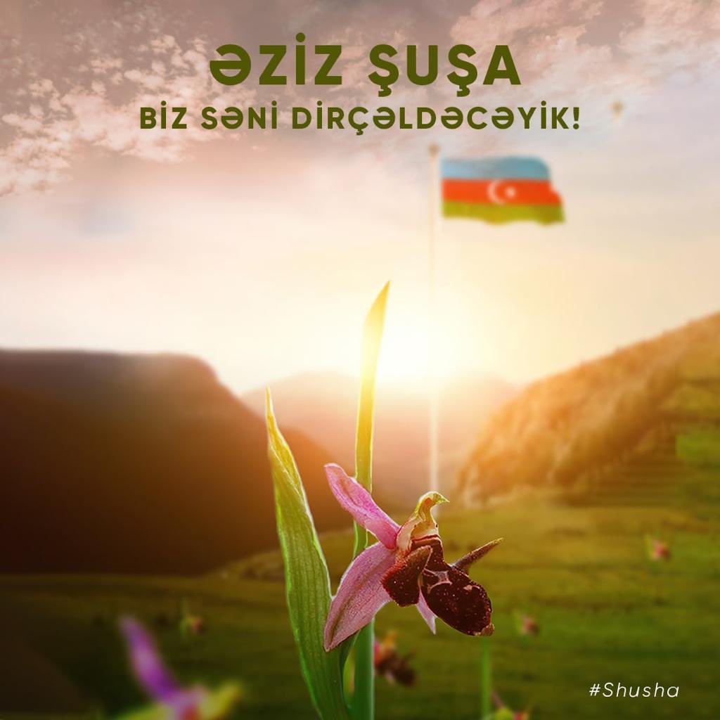 AzEmbassyQatar's tweet image. Əziz Şuşa, biz səni dirçəldəcəyik!

#Şuşa 
#Shusha 
#Qarabağbizimdir