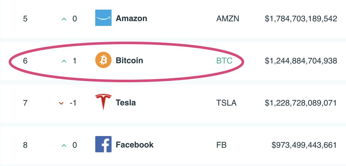 #Bitcoin is now more valuable than $TSLA, $FB and is the 6th largest asset in the world by market cap. Next up: $AMZN